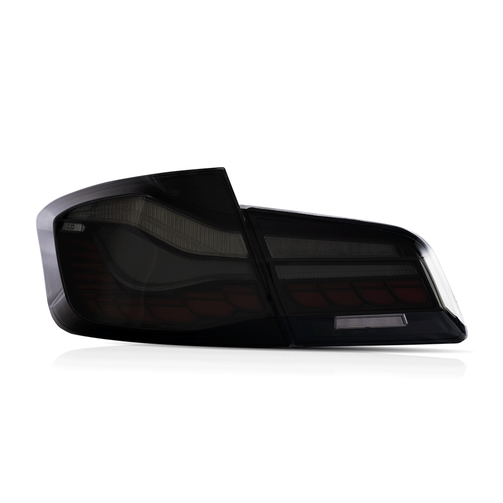 BMW F10 OLED BAKLYKTER